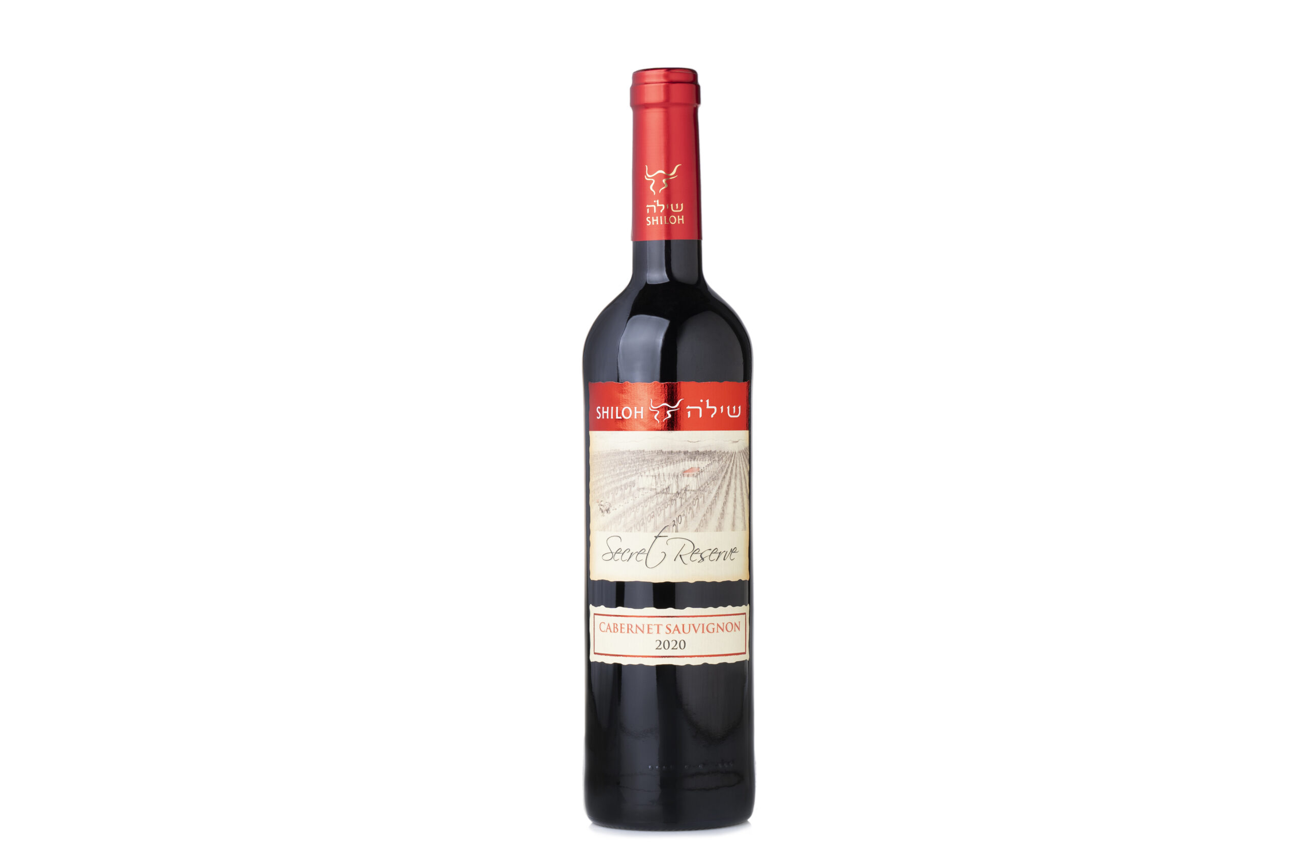 Shiloh - Cabernet Sauvignon
